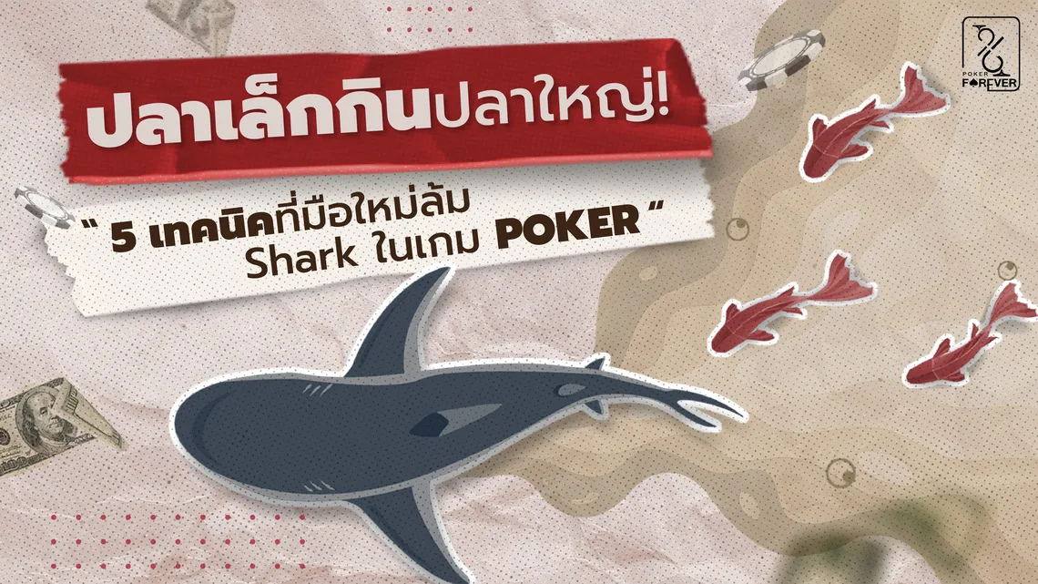 ปลาเล็กกินปลาใหญ่! 5 เทคนิคที่มือใหม่ล้ม Shark ในเกม Poker